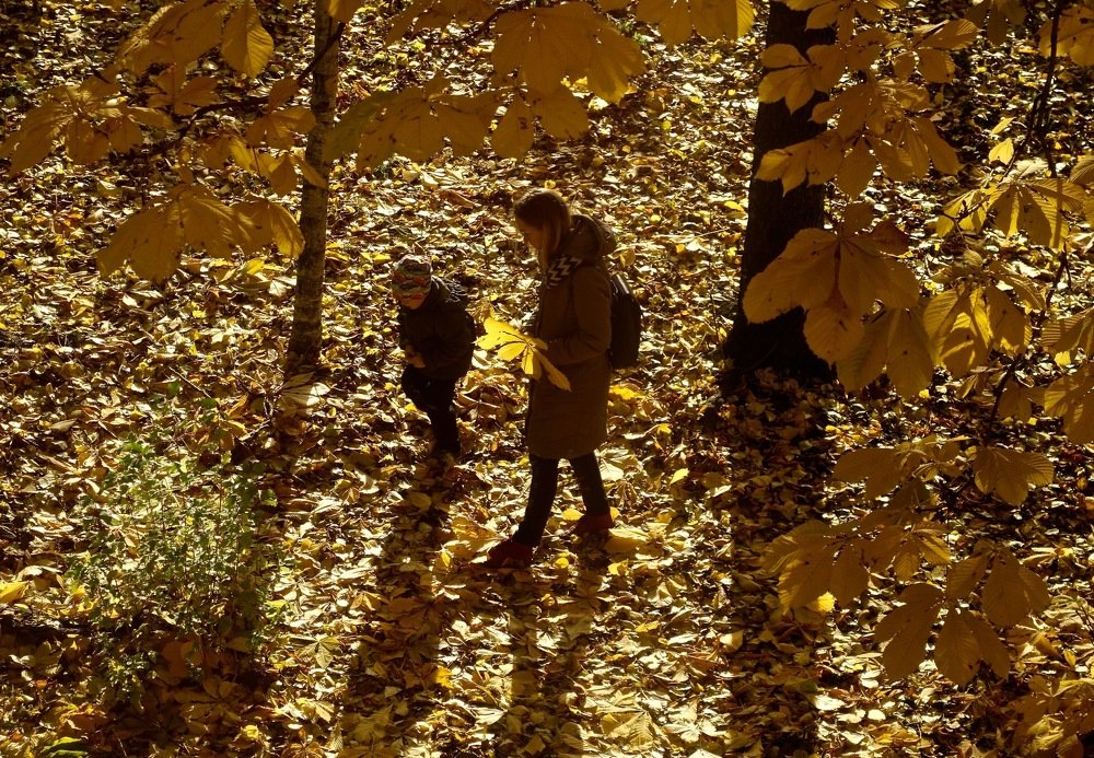 Photograph by Елена Жукова