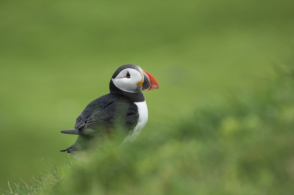 Photograph by Domagoj Sever