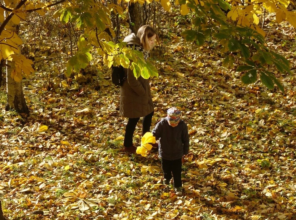 Photograph by Елена Жукова