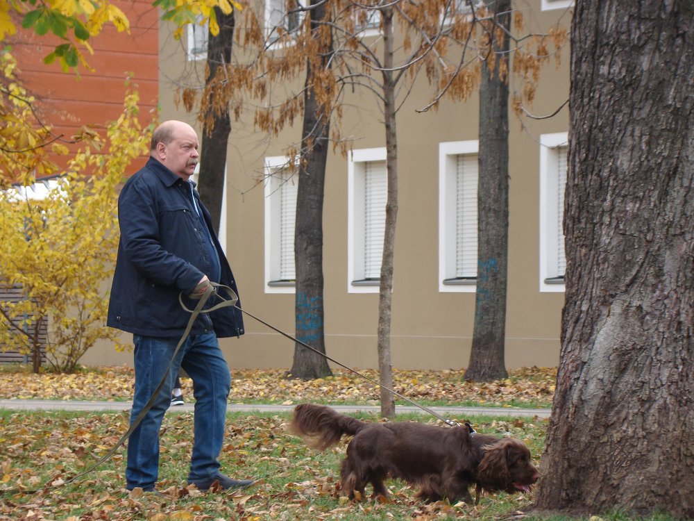 На прогулке