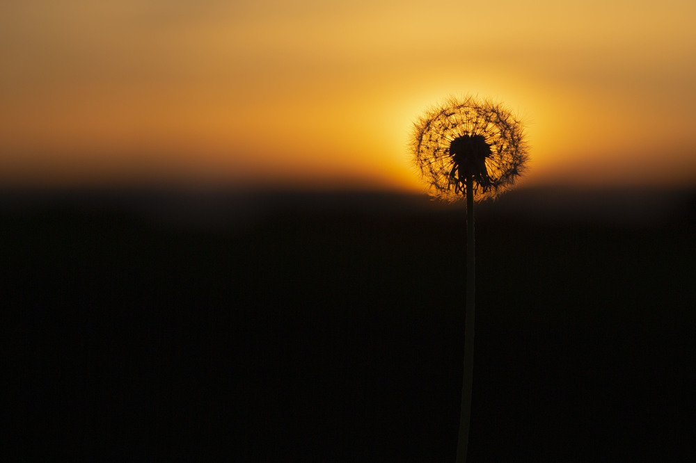 Photograph by Игорь