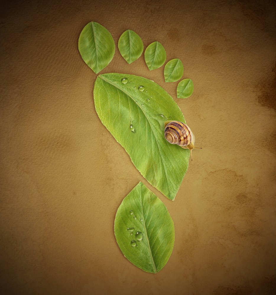 Photograph by AYKUT SEVINC