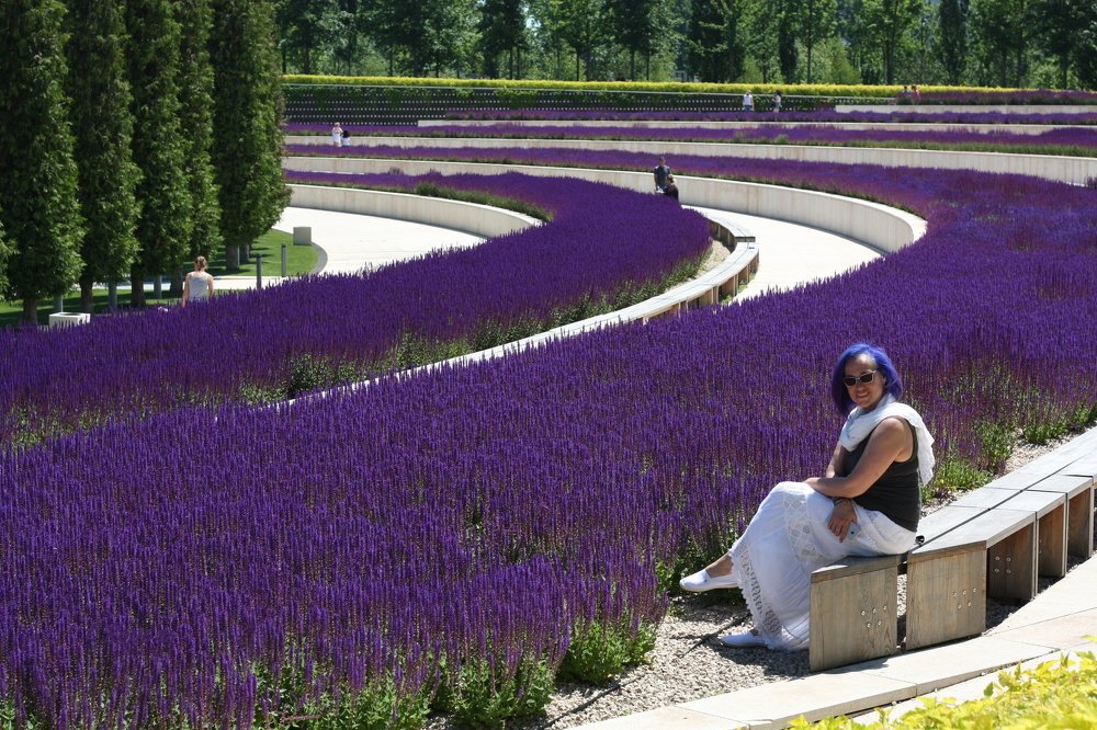 Шалфейное настроение