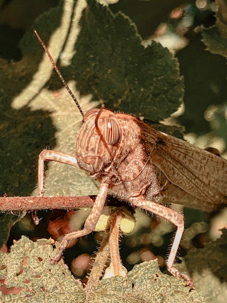 Photograph by Наталья Перерва