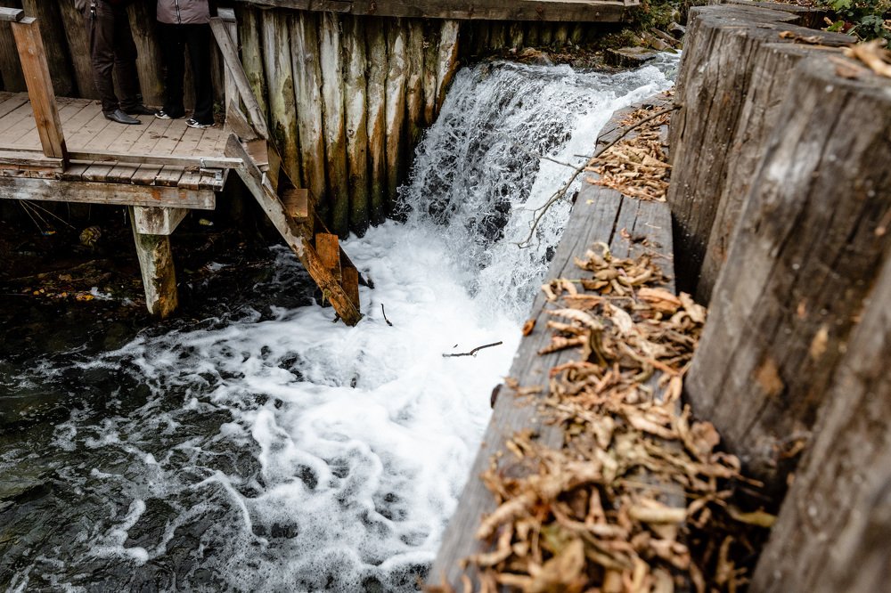 Photograph by Ксения Добролюбова