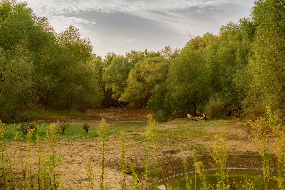 Photograph by Игорь Хижняк