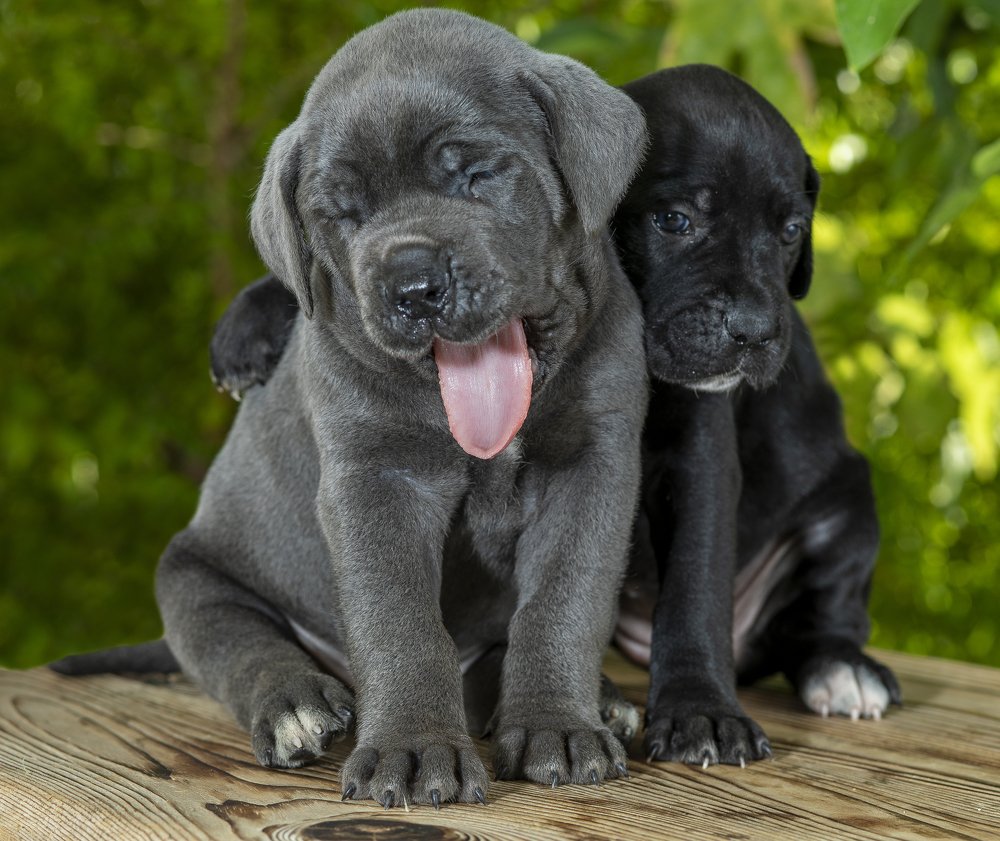 Photograph by AYKUT SEVINC