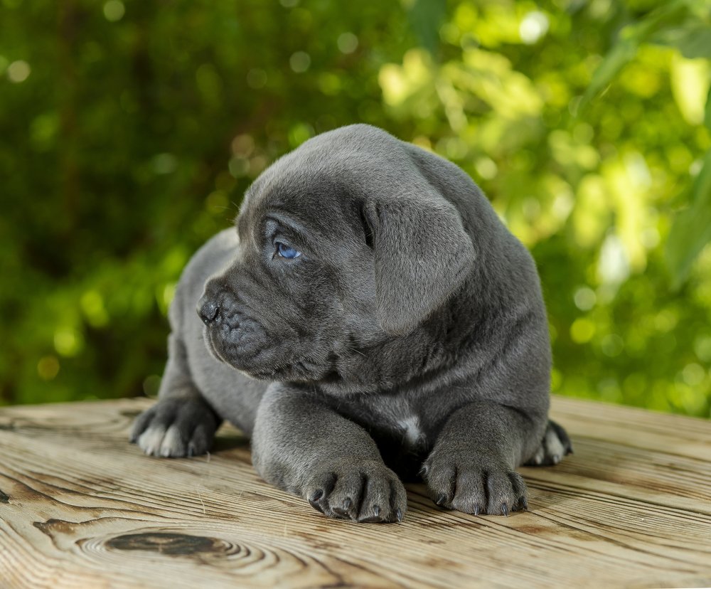 Photograph by AYKUT SEVINC