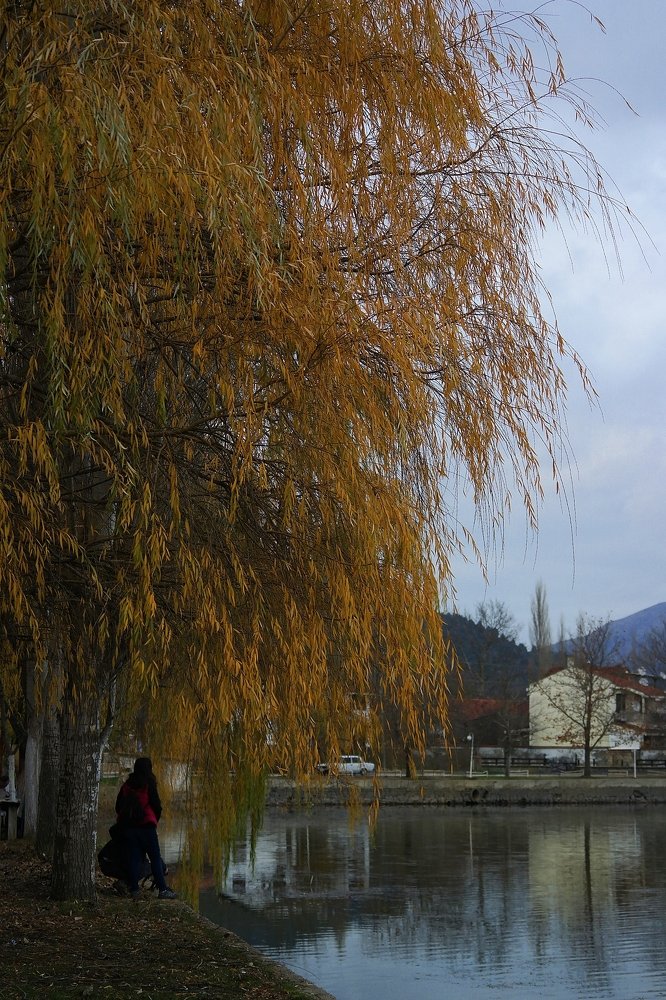 Photograph by Sedef Onum