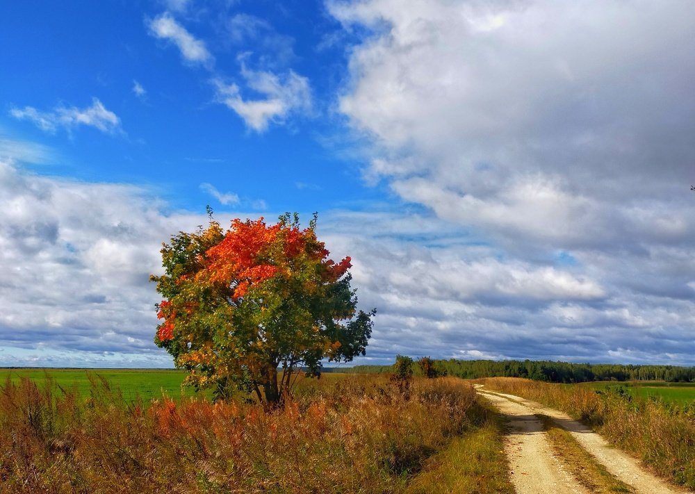 Photograph by Мария Воронцова