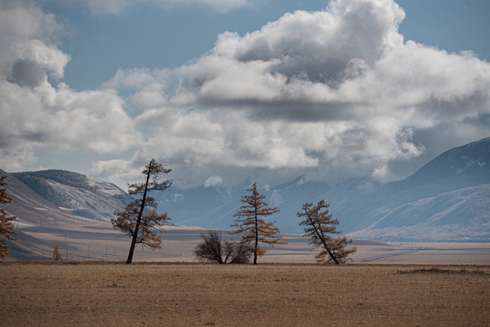 Photograph by Aleksei Kurlov