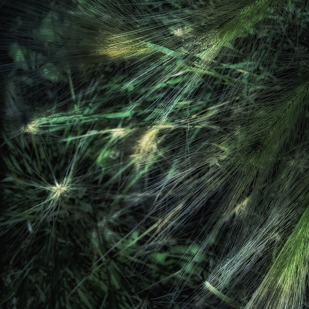 Photograph by Наталья Адалинская