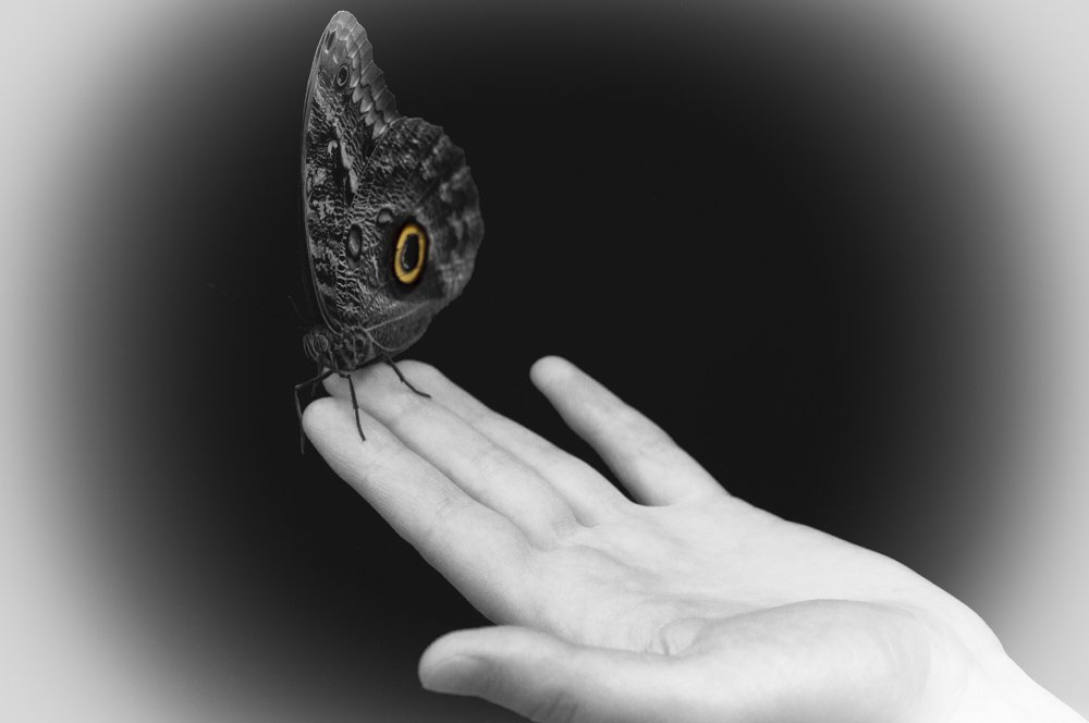 Photograph by Стельян Гаргала