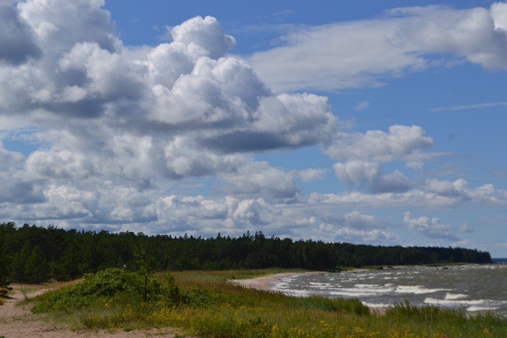 Финский залив