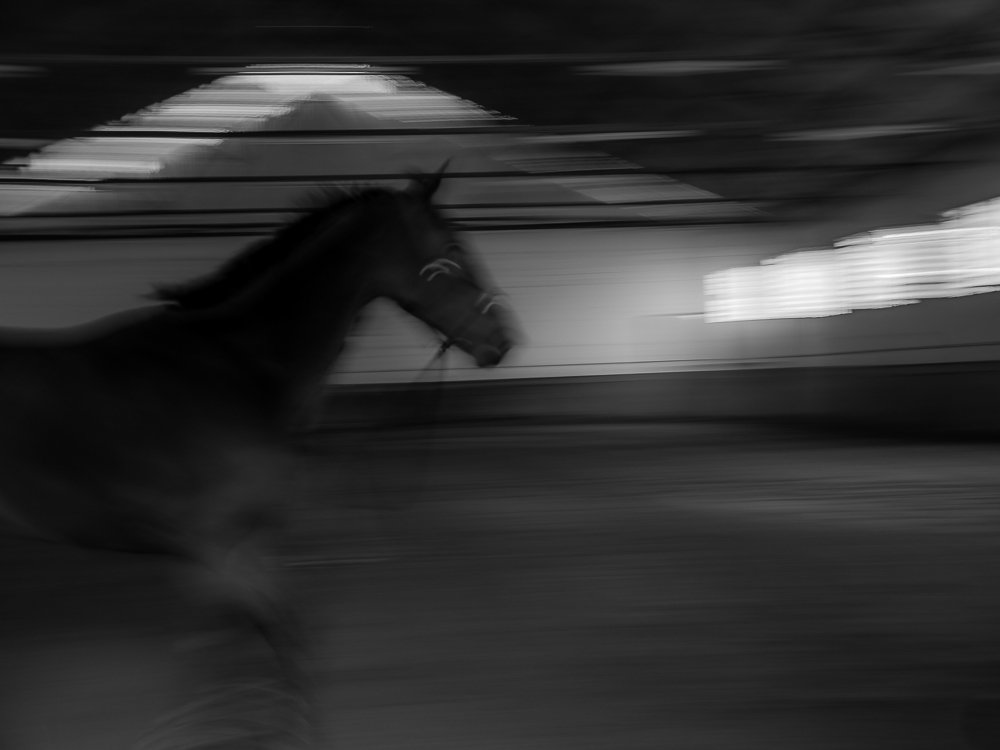 Photograph by Antonis Giakoumakis