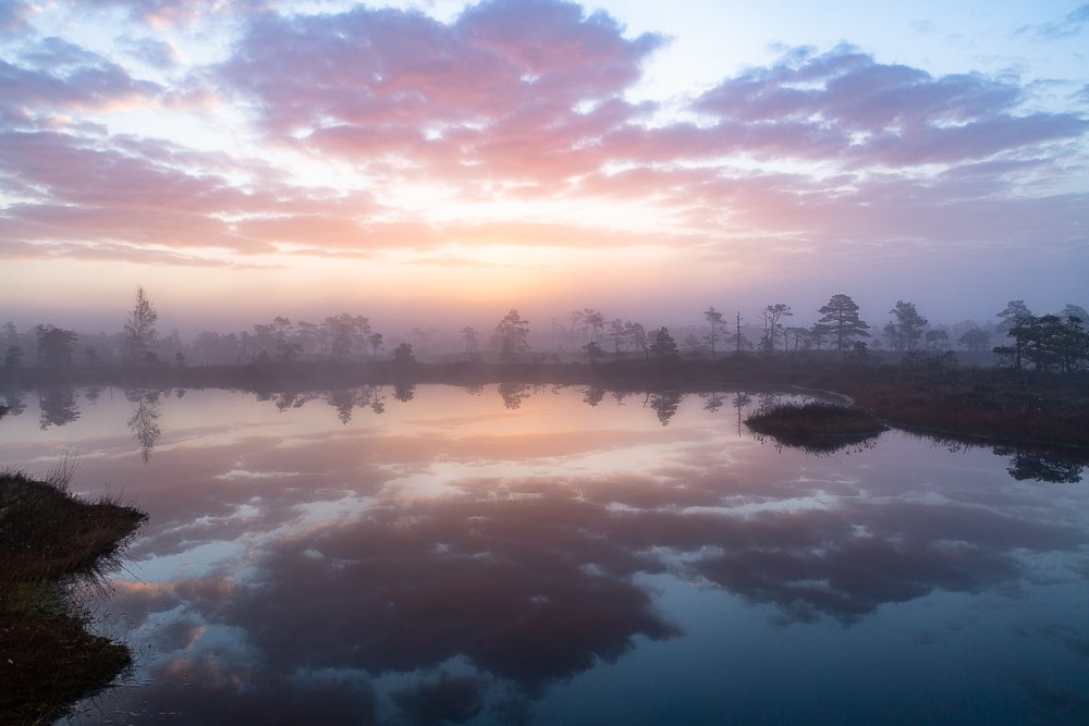 Photograph by Eriks Zilbalodis