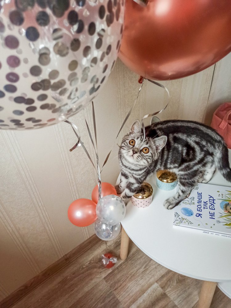 Photograph by Ирина Туркина