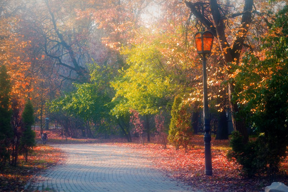 Photograph by Александр Белоус