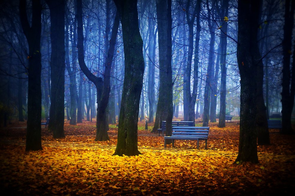 Photograph by Александр Белоус