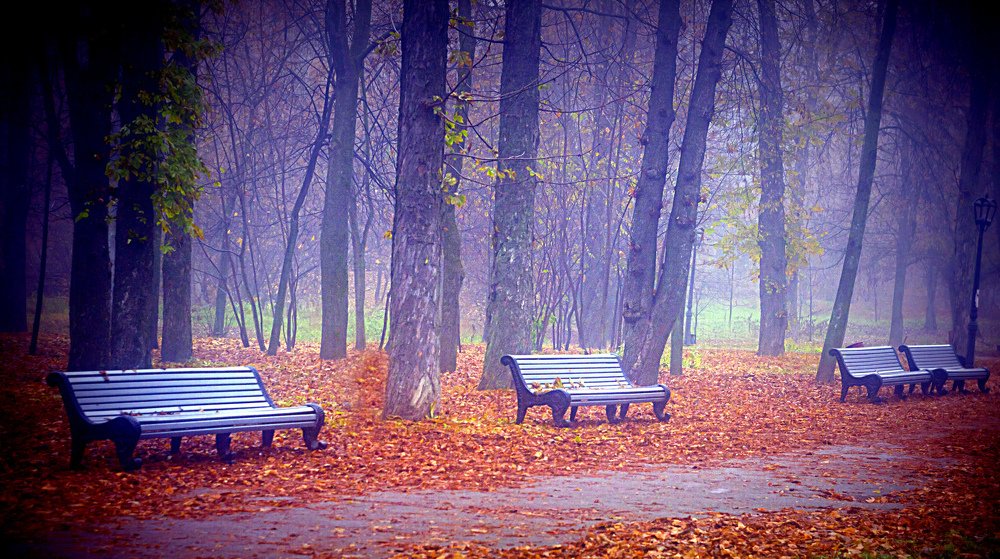 Photograph by Александр Белоус