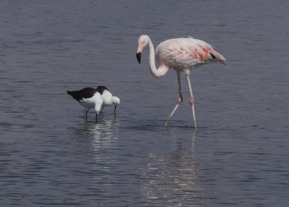 Photograph by Галина Михоношина