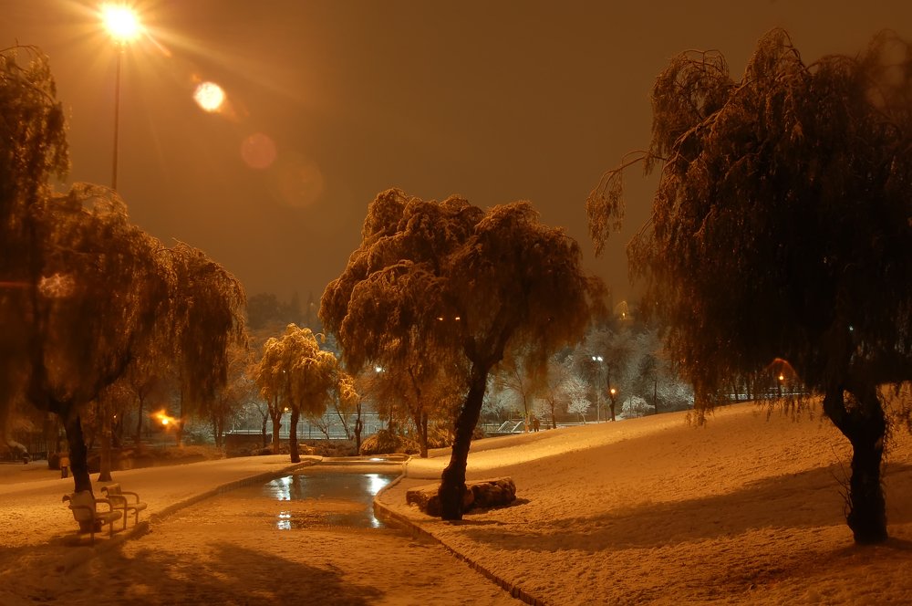 Фотография автора Ася Бабушкина