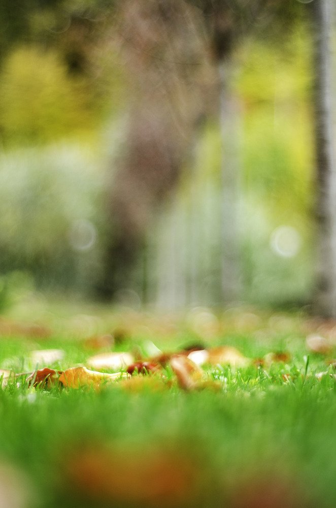 Photograph by Ольга Жогина