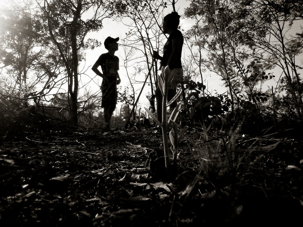 Photograph by Nilson Junior