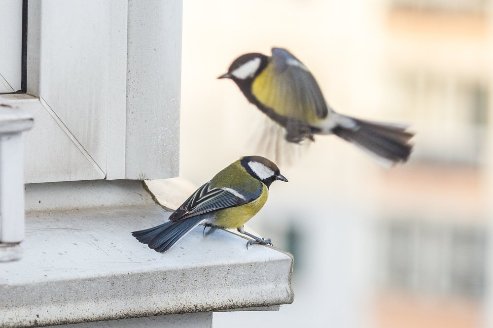 Фотография автора Гудкова Светлана