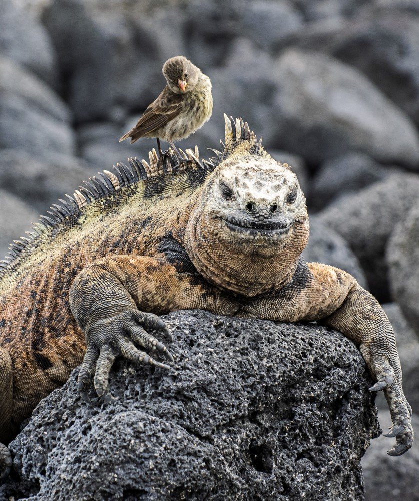 Photograph by Egor Nikitin