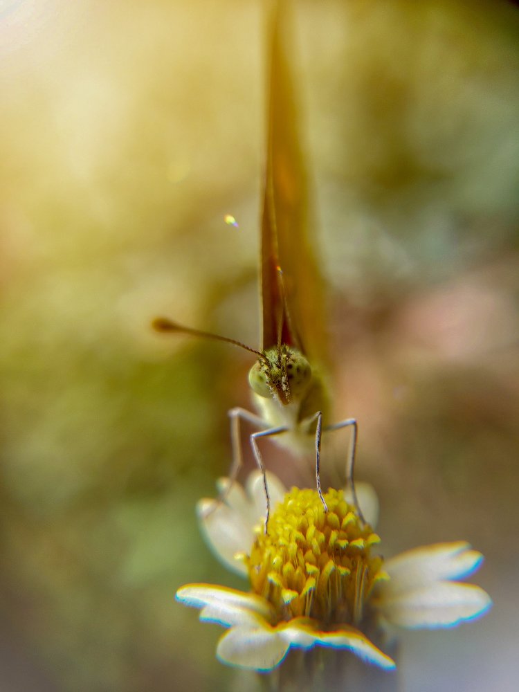 Photograph by Praful Patil