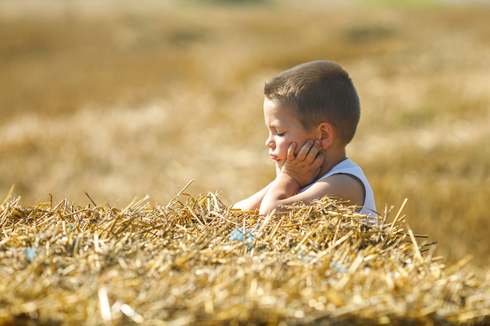 Фотография автора Гудкова Светлана