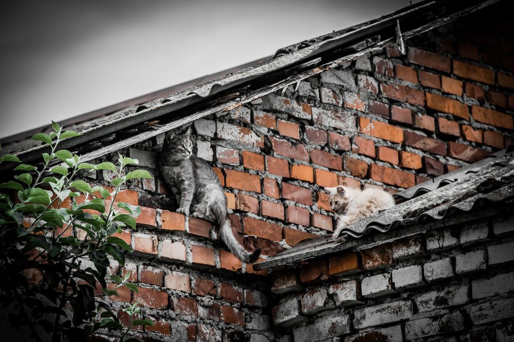 Photograph by Денис Давыденко