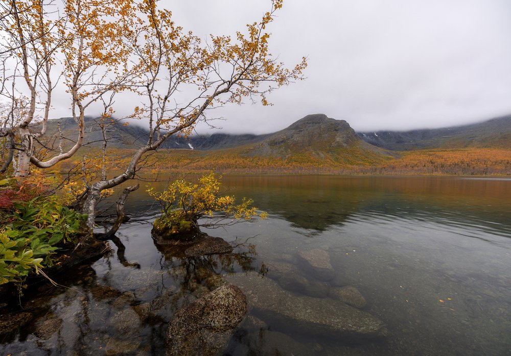 Photograph by Олег Иваницкий