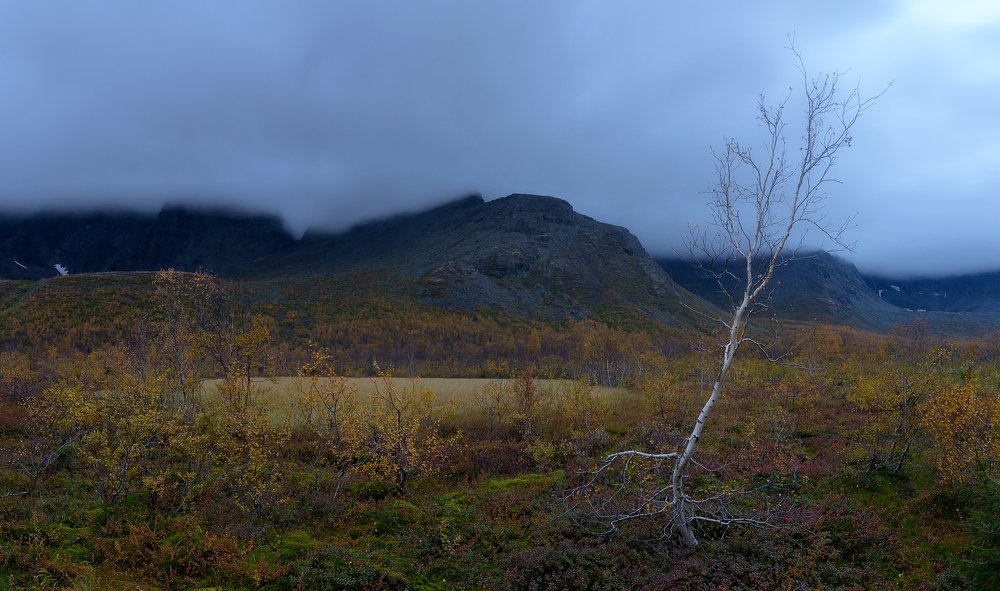 Photograph by Олег Иваницкий