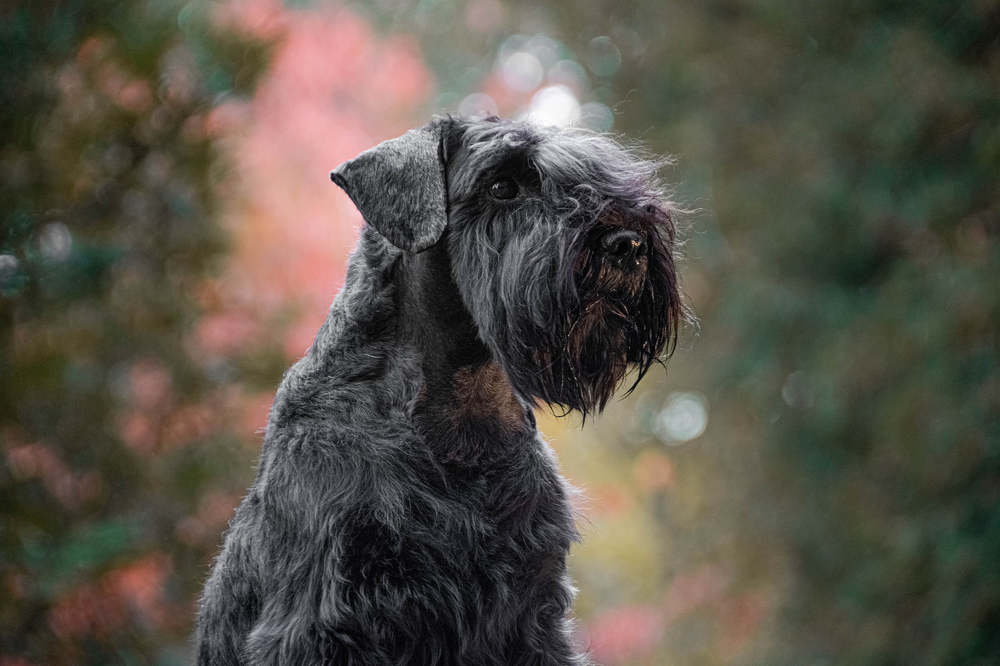 Photograph by Stella Talberg