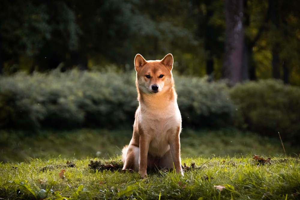 Photograph by Stella Talberg