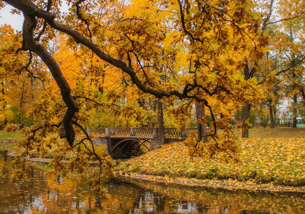 Photograph by Даркина Дарья