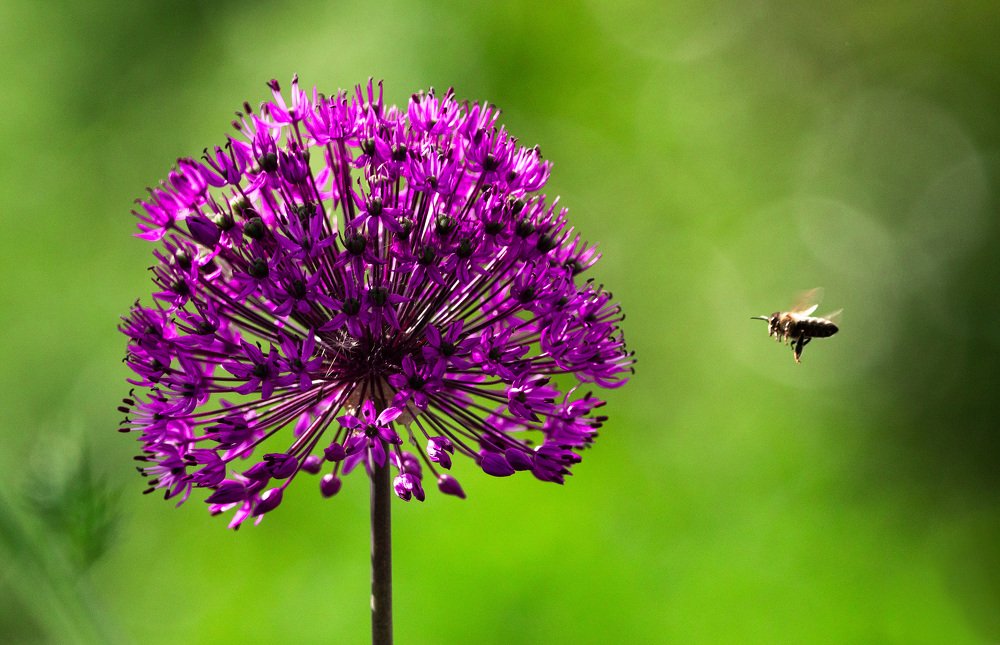 Photograph by Алексей Егорычев