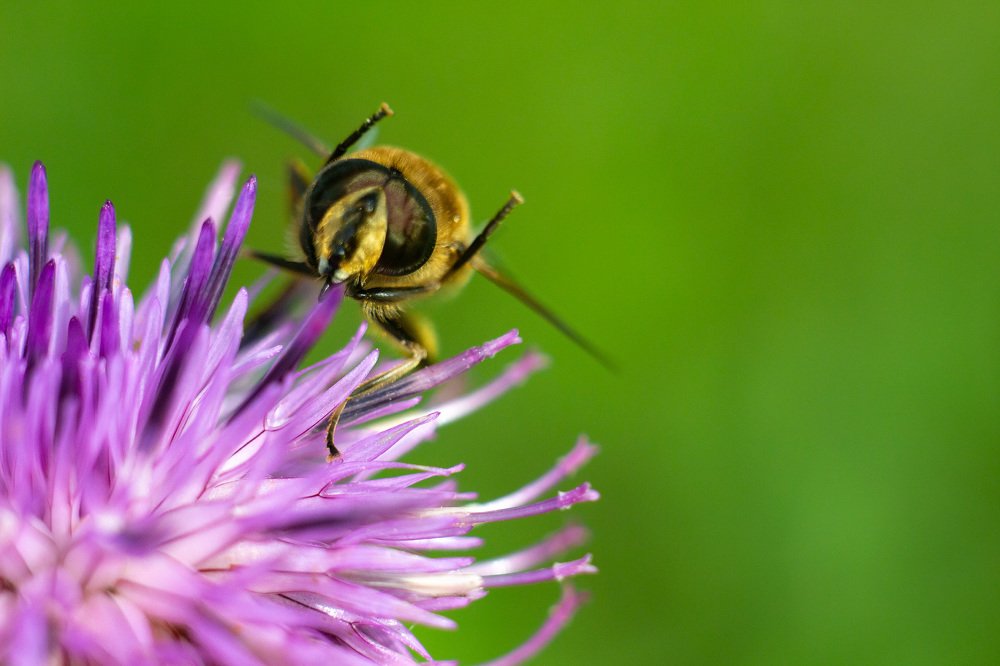 Photograph by Алексей Егорычев
