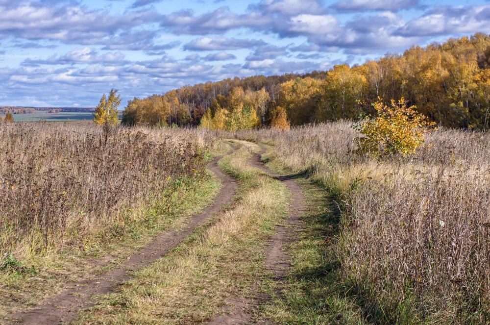 Подмосковная осень
