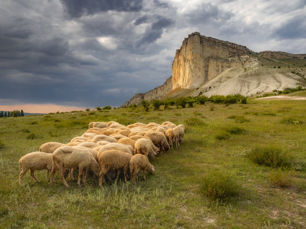 Photograph by Мария Милюхина