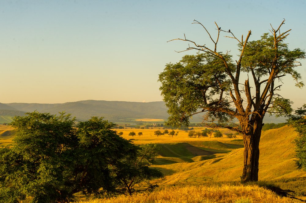 Photograph by РАСУЛ БОТАШЕВ