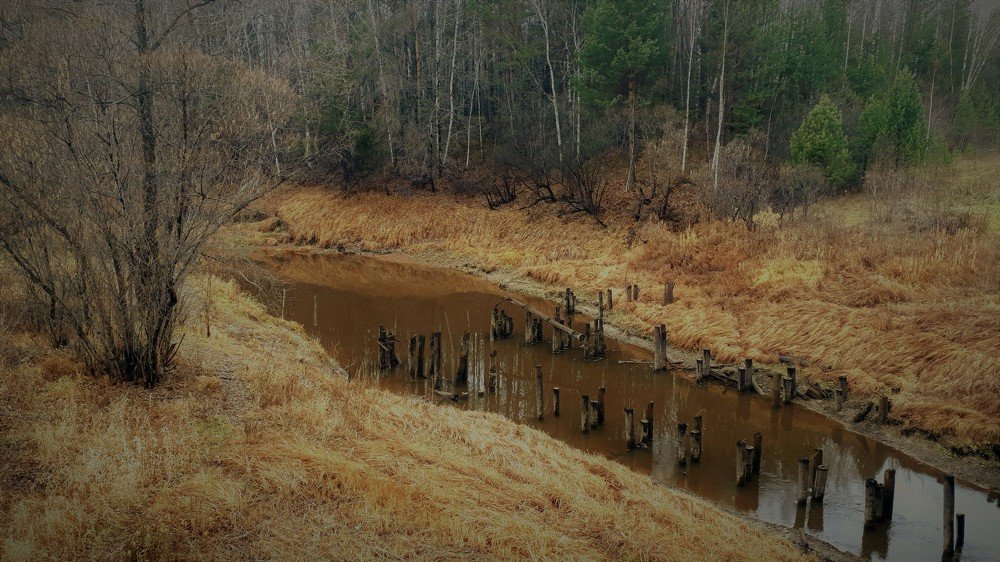 Photograph by Людмила Колеватова