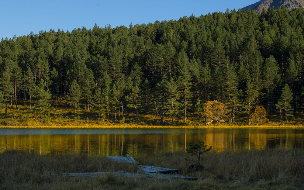 Photograph by РАСУЛ БОТАШЕВ