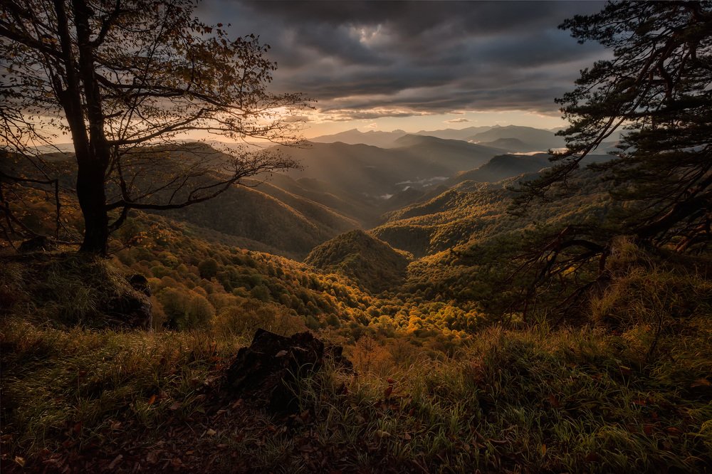 Photograph by Юрий Головченко