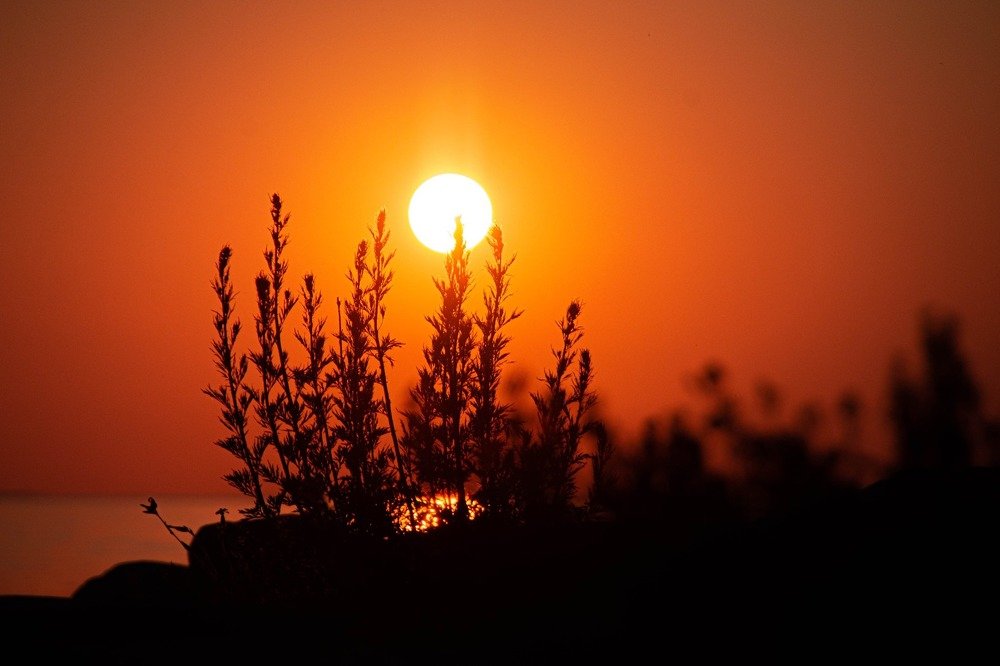 Photograph by Stella Talberg