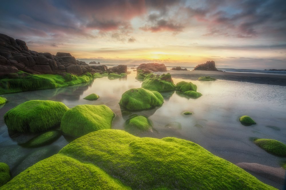 Photograph by Diego Lema Mira