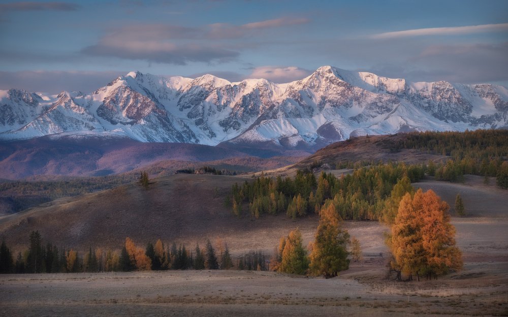 Курайское утро