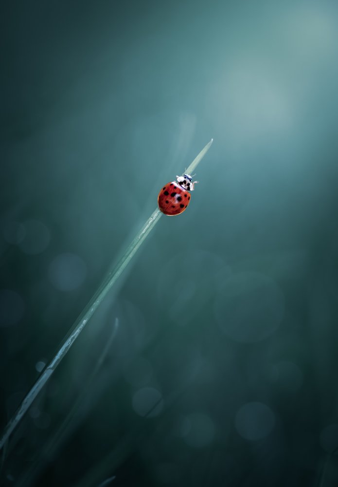 Life’s a journey..